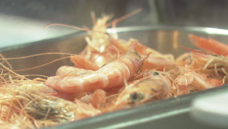 fresh shrimp in a metal tray