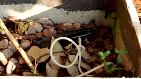 Zooming-in-Footage-of-a-black-firearm-surrounded-by-leaves-together-with-a-piece-of-rope-in-a-garden-bed-flower-pot