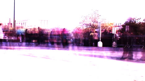 crowds of people