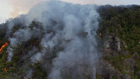 Waldbrand-Lodert-In-Queensland,-Australien