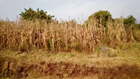 static and detailed shot of a rural village next to the highway near tepoztlán, morelos