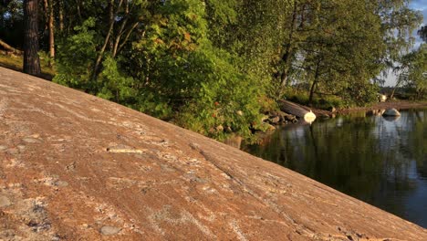 Bäume-Und-Ruhige-Wasserreflexion-Bei-Sonnenuntergang,-Aufsteigender-Kranichschuss