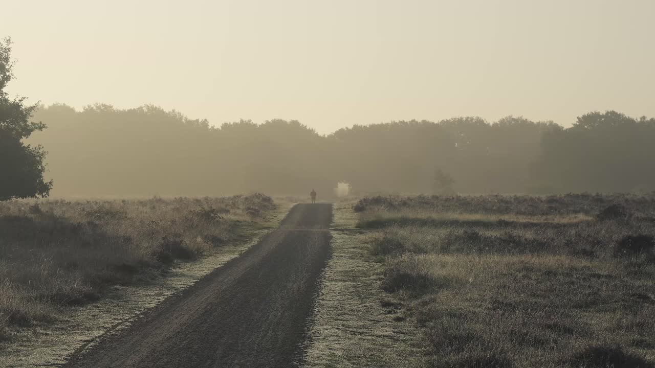 공원에서 보도를 따라 서리가 내린 일출 아침 보기