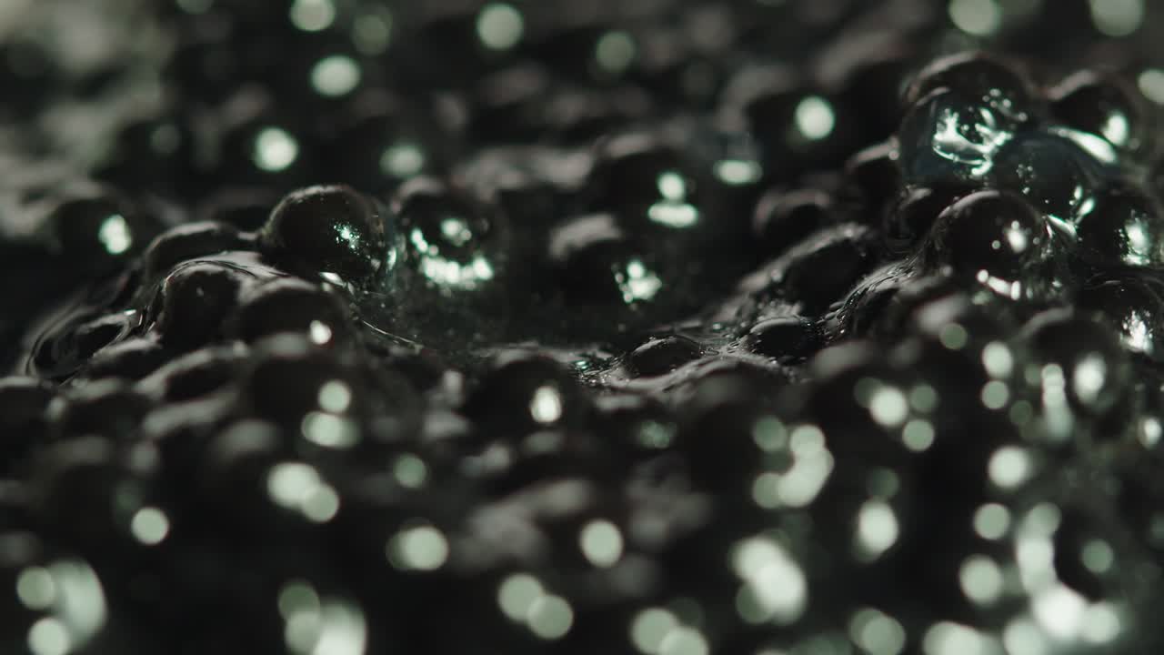 Close-up of Black Caviar