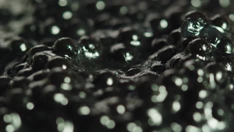 close-up of black caviar