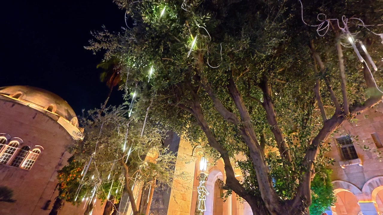 Luci di Natale che Addobbano gli Alberi nella Città Vecchia di Gerusalemme