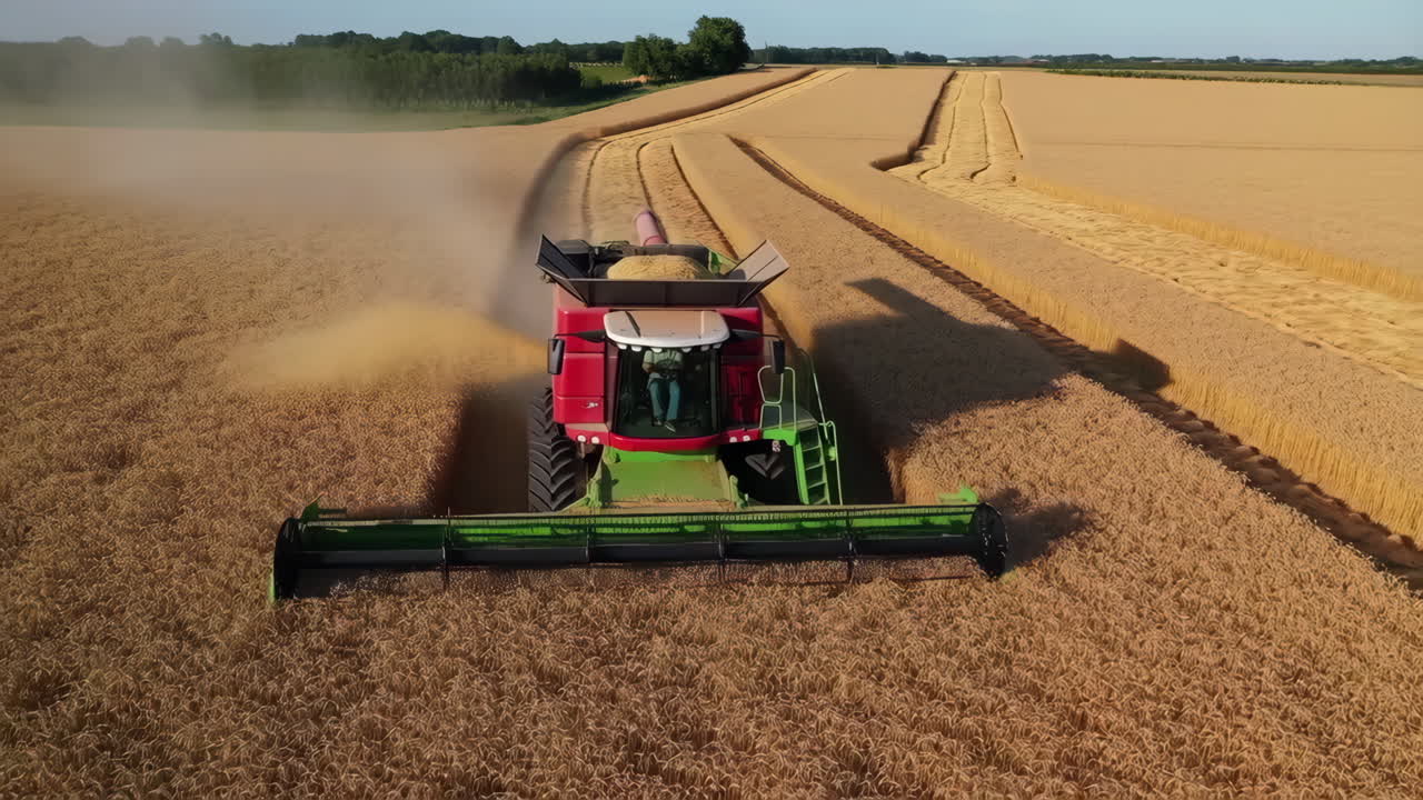 A combine harvester at work in a golden wheat field