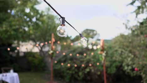 close-up view of the string of lights at the blurred background