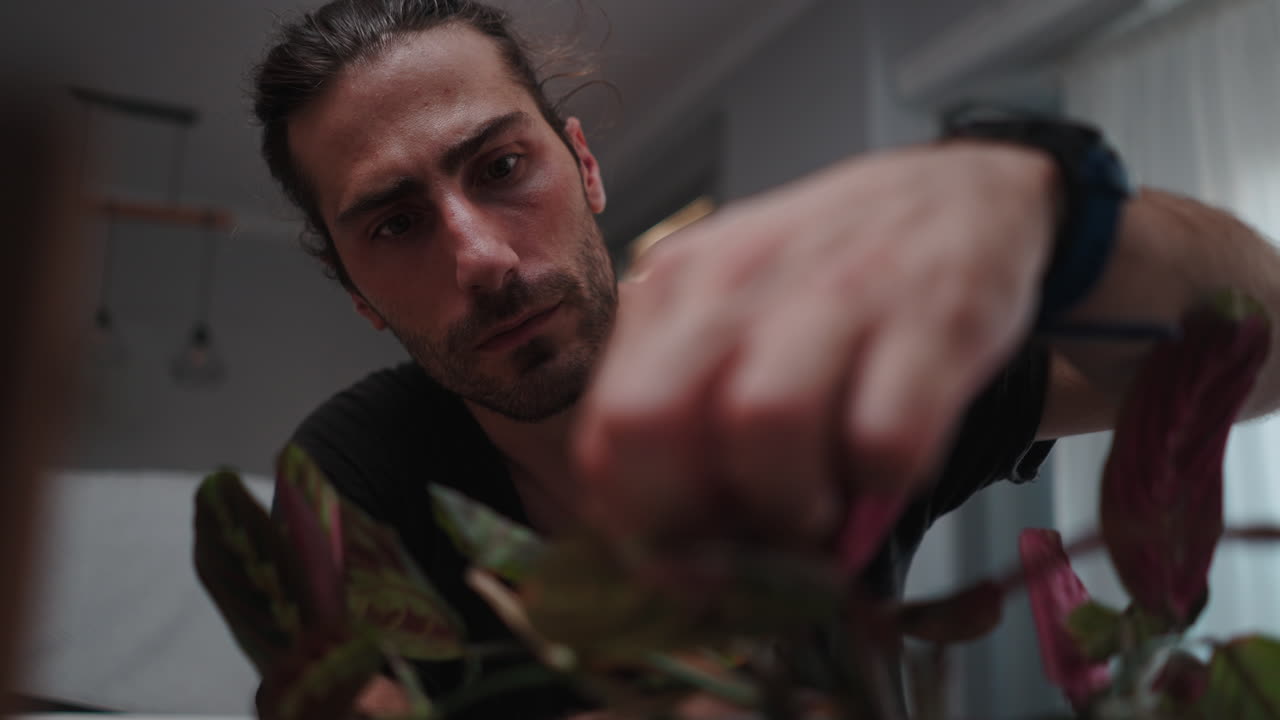 Uomo che si prende cura della sua pianta della preghiera in casa