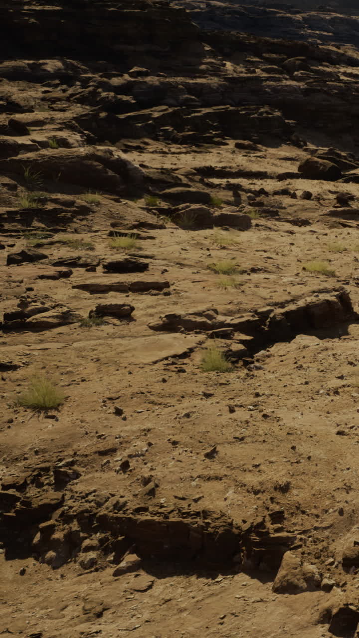 La vista mostra una superficie rocciosa con terreno arido