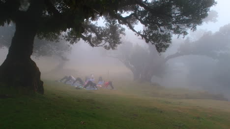 grupo de mujeres jóvenes haciendo ejercicio de yoga saludable en el parque místico y brumoso temprano en la mañana