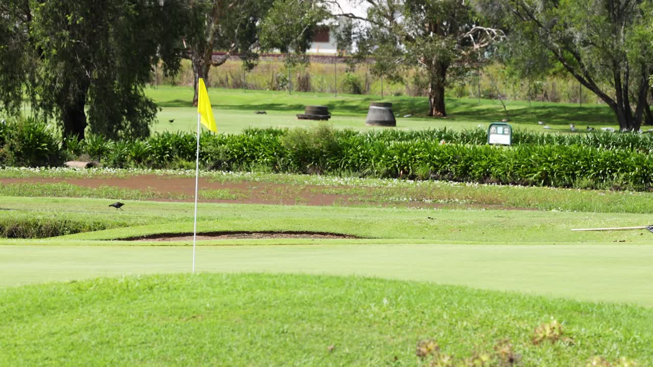 골프 코스의 발은 바람에 부드럽게 움직입니다.