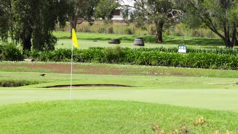 golf course flag moves gently in the breeze.
