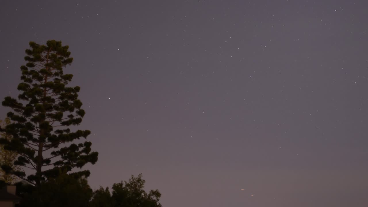 실루이 있는 소나무 위에 움직이는 별들의 시간 흐름