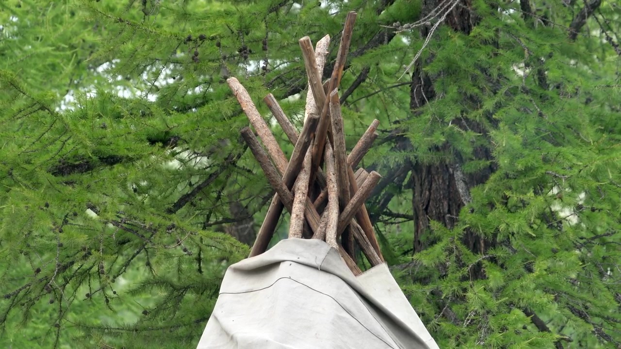 Smoke Rising from a Traditional Teepee in a Forest