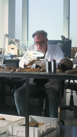 archaeologist examining ancient bones in a laboratory