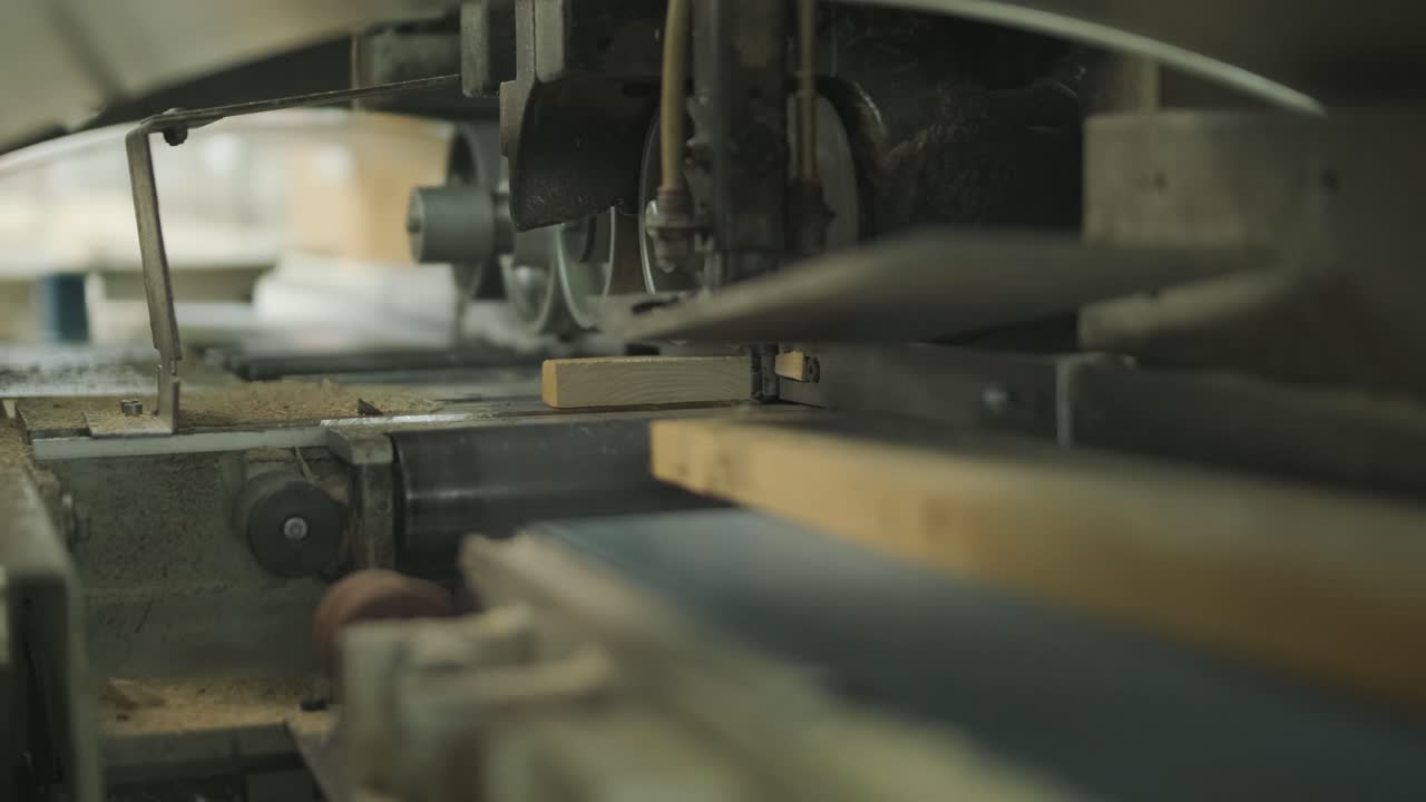 Sega per legno automatica che taglia assi di legno in fabbrica