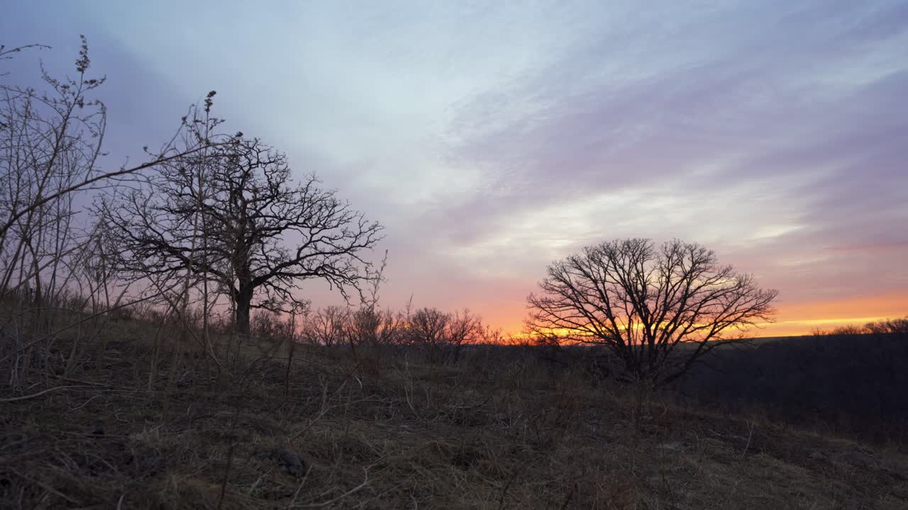 Sunset in rural Wisconsin with two trees.