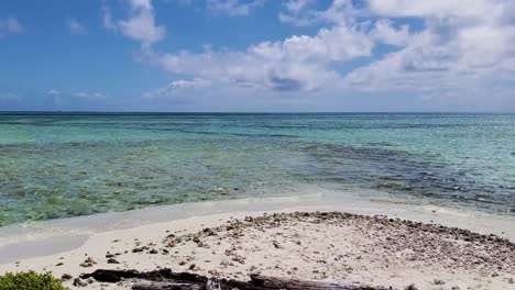 amazing landscape lonely caribbean beach island with turquoise