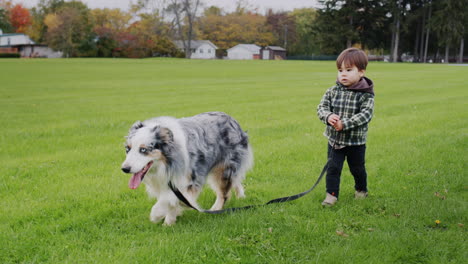 Un-Niño-Asiático-Caminando-Con-Un-Gran-Perro-Pastor-En-El-Parque.