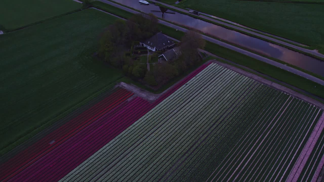 Luftfoto af Obdam med Berkmeermolen, vindmølle, tulipaner, der viser et gyldent landligt sceneri i Holland.