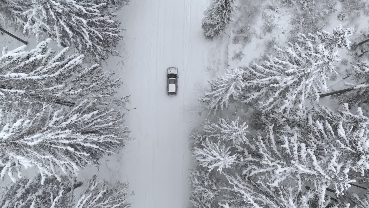 vista aérea y simétrica de un camión en una carretera nevada en un bosque cubierto de nieve, en un día nublado de invierno - disparo de drones, disparo de seguimiento, de arriba hacia abajo