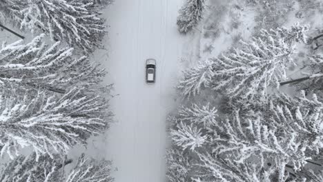 aerial and symmetrical view of a car on snowy road in snow covered forest, on a cloudy, winter day - drone shot, tracking shot, top down