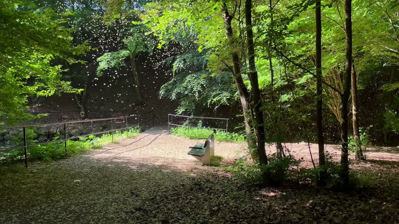 공원에서 공중에 봄 씨앗