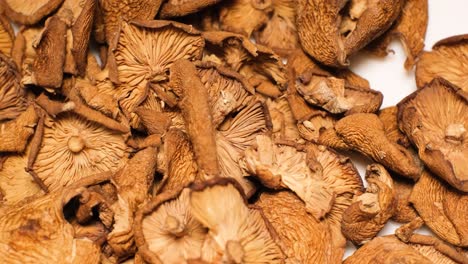 young dried mushrooms in a white bowl rotate in a circle young dried mushrooms in a white bowl rotate in a circle close up background with mushrooms vegetarian food concept