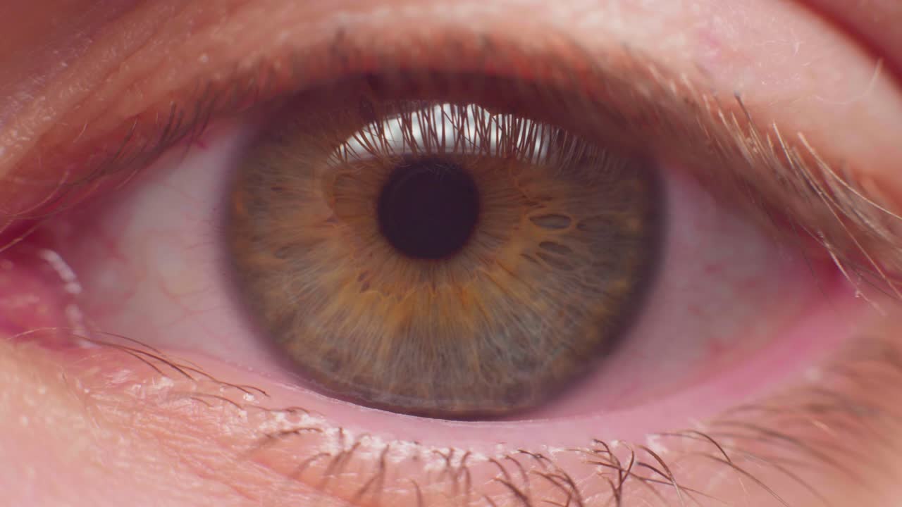 toma macro de 4k de un ojo en cámara lenta, mirando a la cámara