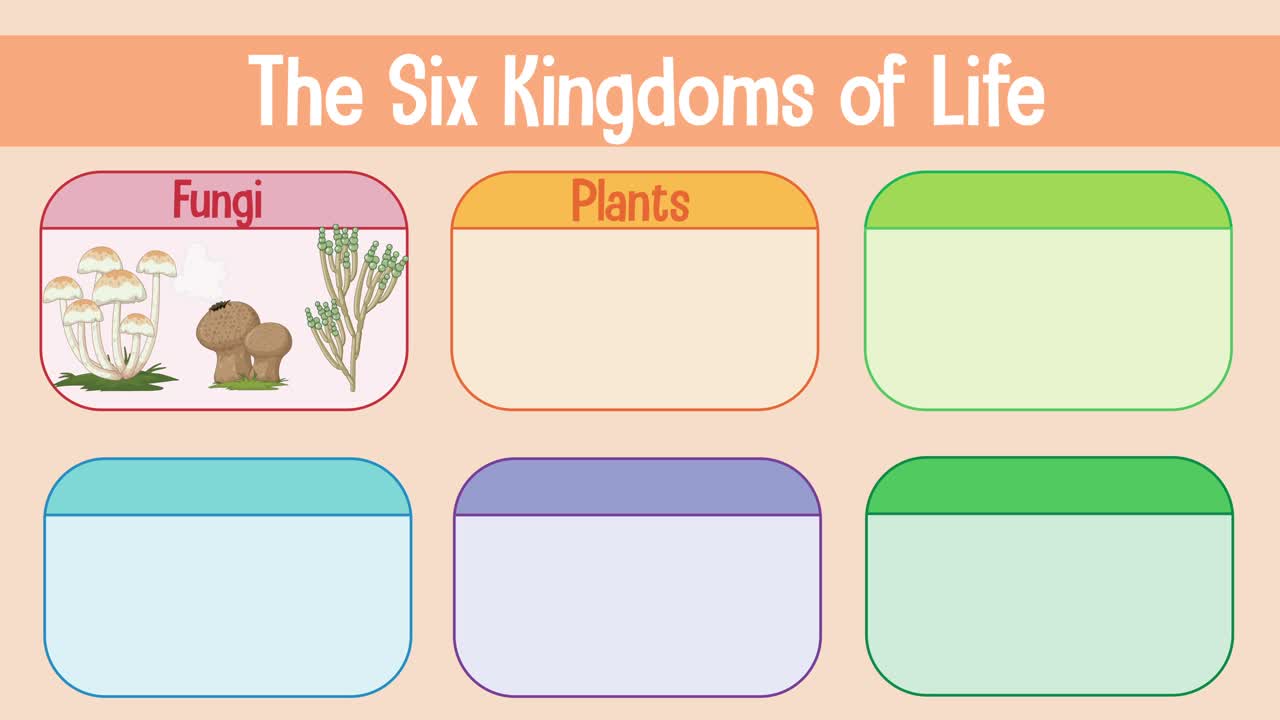 representación visual de los seis reinos de la vida