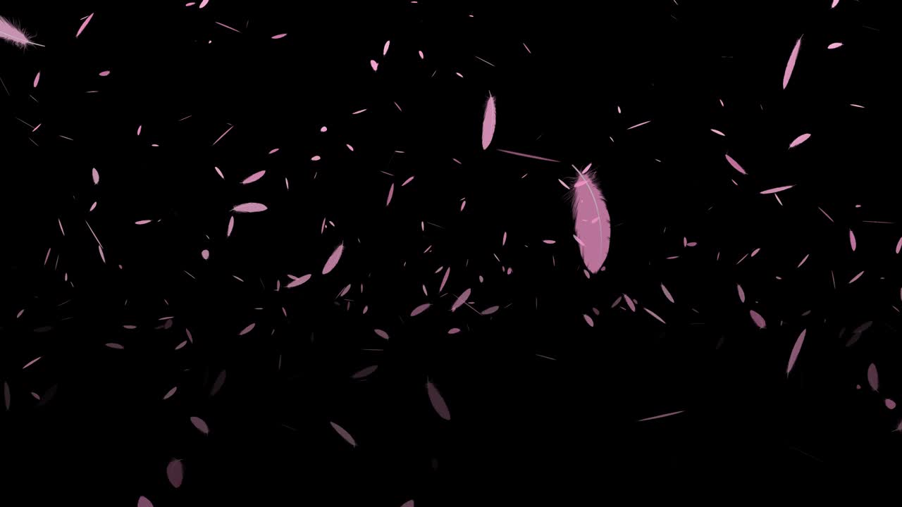 분홍색 털 날아가는 입자 모션 그래픽