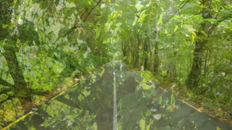 animation of green foliage over road