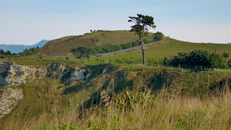 panorama shot of idyllic green landscape of new zealand, with hills,rocks and blue sky