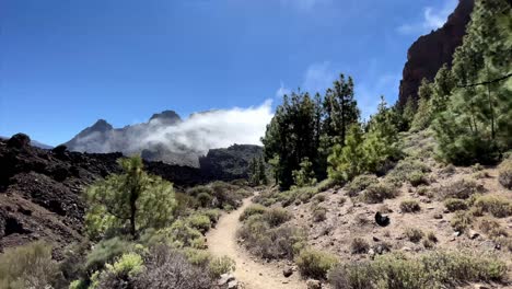 bienvenido a tenerife