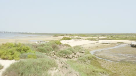 drone shot of sandy beach of culatra faro island, italy