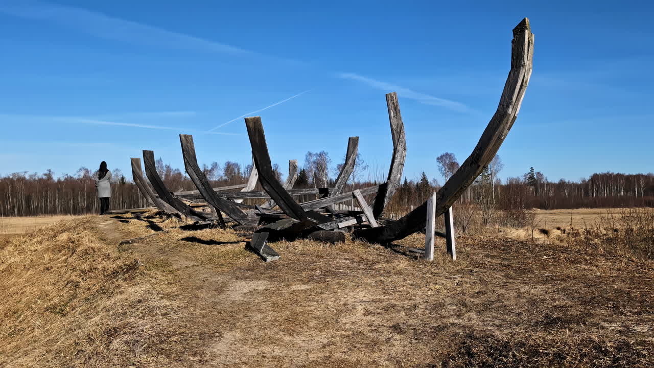 에 있는 오래된 나무 와이킹 배 의 잔해