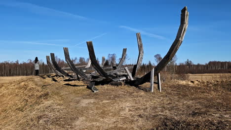 remains of an old wooden viking boat on a field