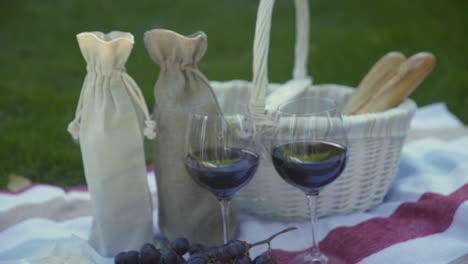 the girl is preparing for a picnic