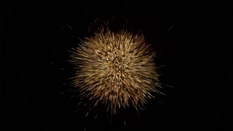 golden explosion