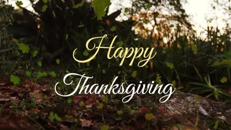 animation of happy thanksgiving text with autumn leaves over trees in park
