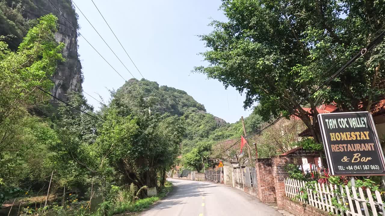 울창한 초록색으로 둘러싸인 평화로운 길