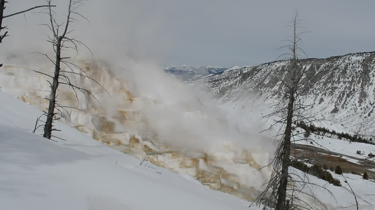 Steam leaving pools of water in Mammoth Hot Springs