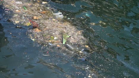 severe water pollution with floating garbage and debris