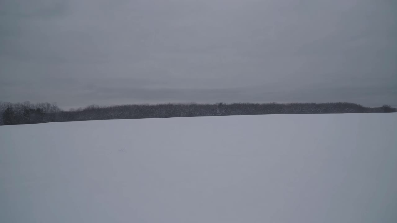 Aerial video captures a vast, snow-covered landscape with a horizon of bare trees under a cloudy