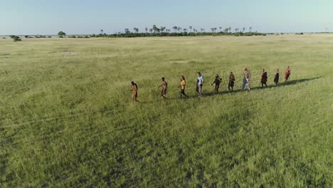 4k aerial zoom out view of a group of tourists out on a bush walk with san people/bushman in traditional dress on the makgadikgadi grasslands, botswana