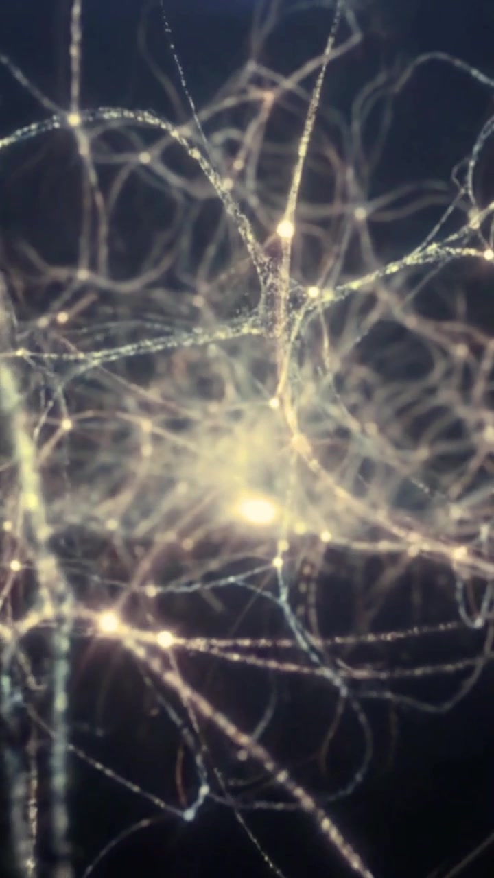 Abstract Animation of Glowing Neural Network Connections