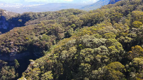 Dramático-Dron-Aéreo-De-Afloramiento-Rocoso-Cubierto-De-Densos-árboles-Y-Arbustos-En-Las-Montañas-Azules-Cielo-Azul-Claro-En-Nueva-Gales-Del-Sur