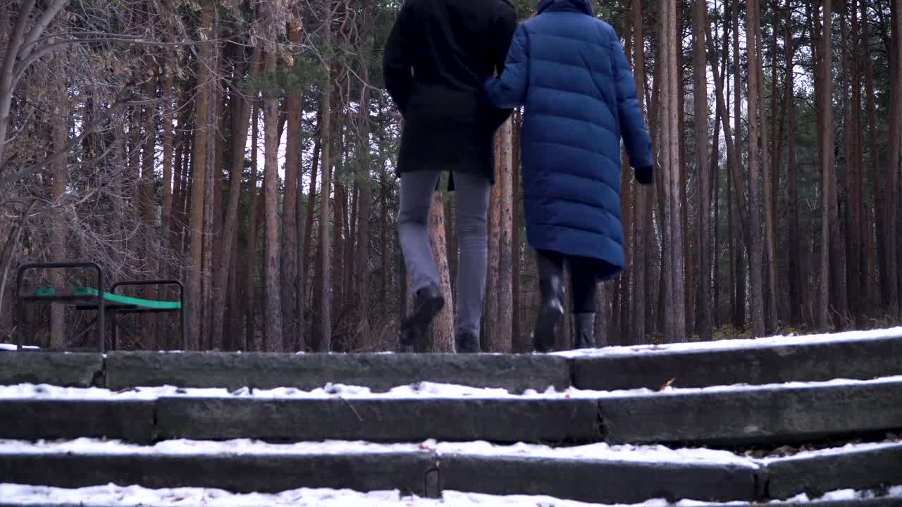 커플 이 눈 인 공원 에서 계단 을 올라가고 있다