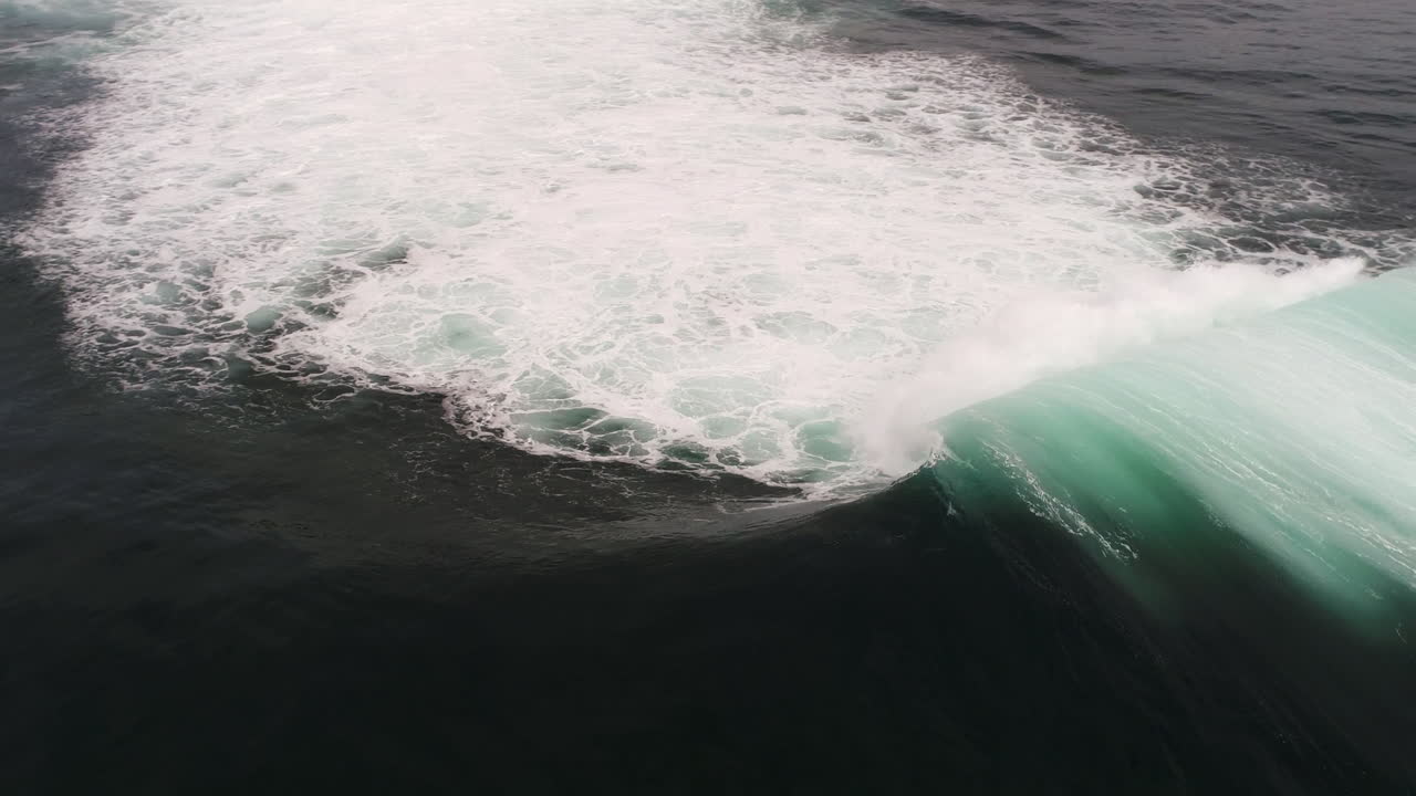 Large green wave barrels over, white crest illuminated in soft light